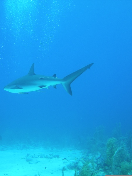 Great Exuma (George Town)